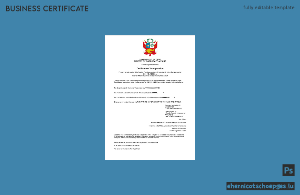 Beispiel eines peruanischen Gewerbeanmeldungszertifikats (Word- und PDF-Datei)
